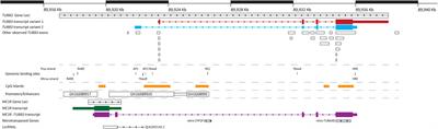 βIII-Tubulin Gene Regulation in Health and Disease